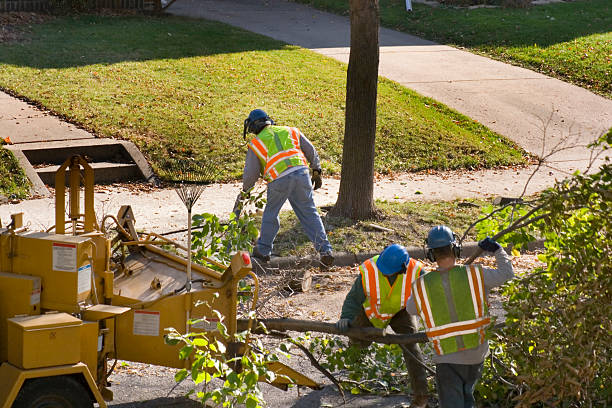 Best Firewood Processing and Delivery  in Leipsic, OH